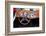 Dashboard of the Vintage Car-swisshippo-Framed Photographic Print