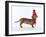 Dashing Dachshund-Assaf Frank-Framed Giclee Print