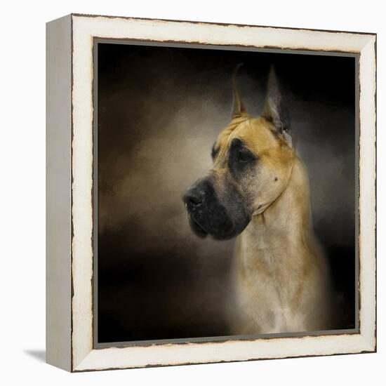 Dashing Great Dane-Jai Johnson-Framed Premier Image Canvas