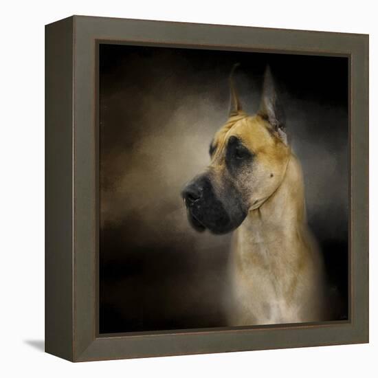 Dashing Great Dane-Jai Johnson-Framed Premier Image Canvas