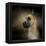 Dashing Great Dane-Jai Johnson-Framed Premier Image Canvas