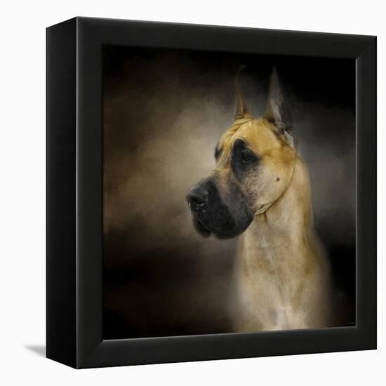 Dashing Great Dane-Jai Johnson-Framed Premier Image Canvas