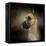 Dashing Great Dane-Jai Johnson-Framed Premier Image Canvas