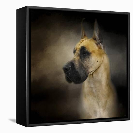 Dashing Great Dane-Jai Johnson-Framed Premier Image Canvas