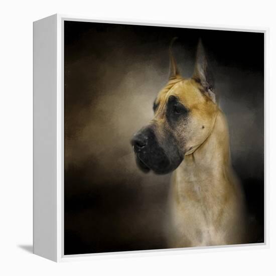 Dashing Great Dane-Jai Johnson-Framed Premier Image Canvas