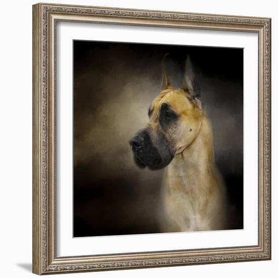 Dashing Great Dane-Jai Johnson-Framed Giclee Print