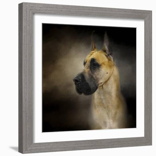 Dashing Great Dane-Jai Johnson-Framed Giclee Print