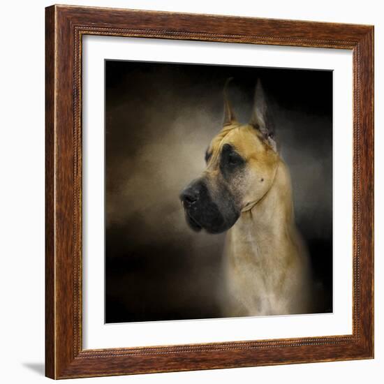 Dashing Great Dane-Jai Johnson-Framed Giclee Print