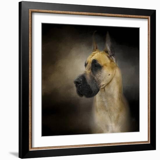 Dashing Great Dane-Jai Johnson-Framed Giclee Print