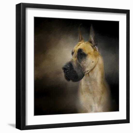 Dashing Great Dane-Jai Johnson-Framed Giclee Print