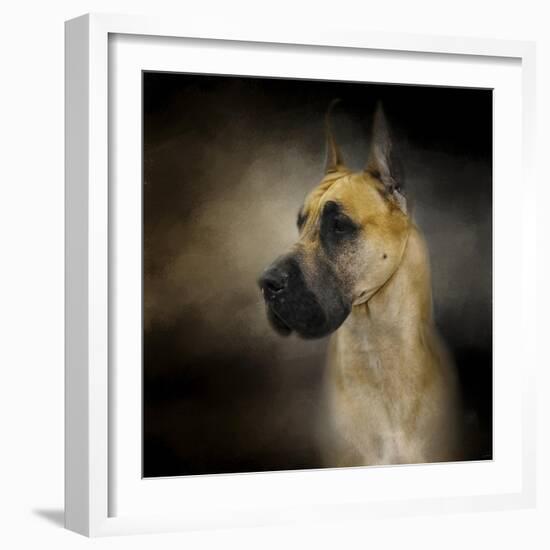 Dashing Great Dane-Jai Johnson-Framed Giclee Print