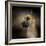 Dashing Great Dane-Jai Johnson-Framed Giclee Print