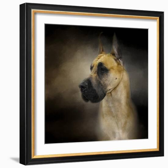 Dashing Great Dane-Jai Johnson-Framed Giclee Print