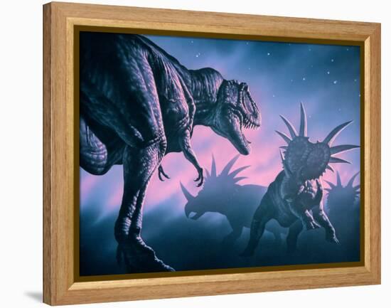 Daspletosaurus Attacking Styracosaurs-Joe Tucciarone-Framed Premier Image Canvas