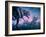 Daspletosaurus Attacking Styracosaurs-Joe Tucciarone-Framed Photographic Print