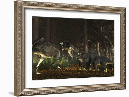 Daspletosaurus Confronts a Family of Chasmosaurus-Stocktrek Images-Framed Art Print