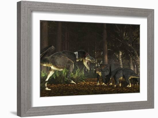 Daspletosaurus Confronts a Family of Chasmosaurus-Stocktrek Images-Framed Art Print