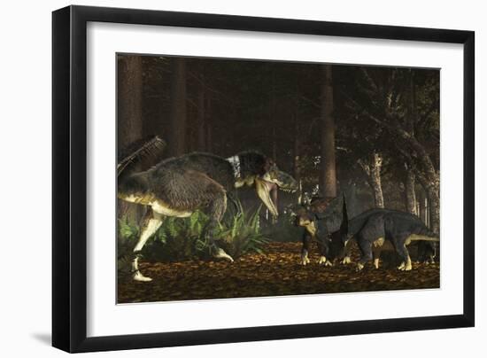 Daspletosaurus Confronts a Family of Chasmosaurus-Stocktrek Images-Framed Art Print