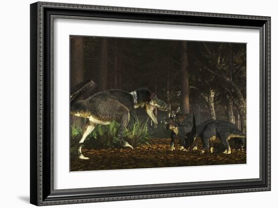 Daspletosaurus Confronts a Family of Chasmosaurus-Stocktrek Images-Framed Art Print