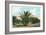 Date Gardens, Coachella Valley-null-Framed Art Print