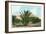 Date Gardens, Coachella Valley-null-Framed Art Print