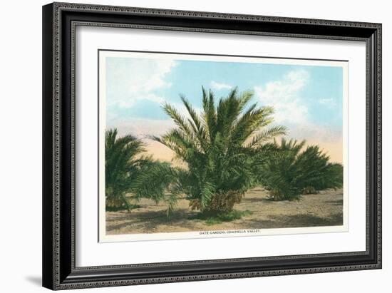 Date Gardens, Coachella Valley-null-Framed Art Print