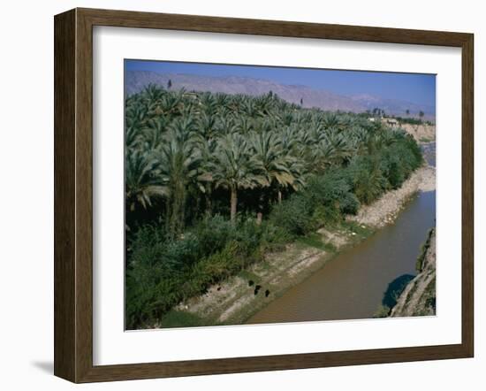 Date Palms Groves, Southern Area, Iran, Middle East-Harding Robert-Framed Photographic Print