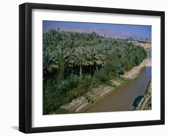 Date Palms Groves, Southern Area, Iran, Middle East-Harding Robert-Framed Photographic Print