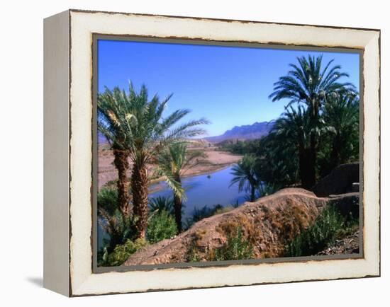 Date Palms in the Draa Valley, Draa Valley, Ouarzazate, Morocco-John Elk III-Framed Premier Image Canvas