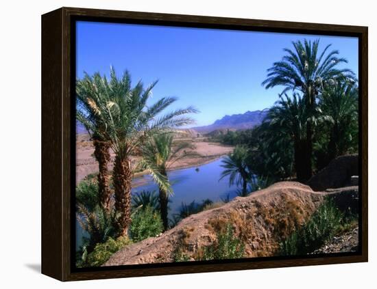 Date Palms in the Draa Valley, Draa Valley, Ouarzazate, Morocco-John Elk III-Framed Premier Image Canvas