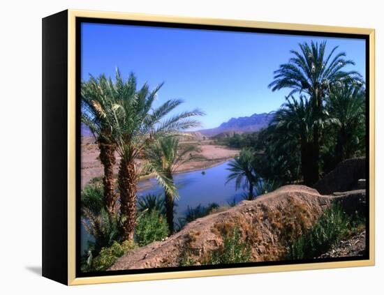 Date Palms in the Draa Valley, Draa Valley, Ouarzazate, Morocco-John Elk III-Framed Premier Image Canvas
