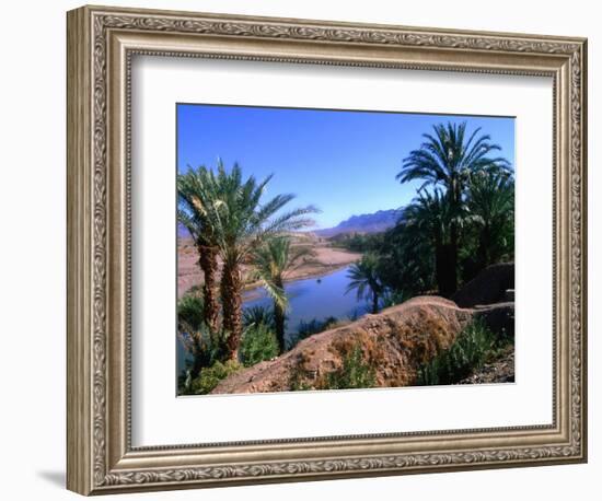 Date Palms in the Draa Valley, Draa Valley, Ouarzazate, Morocco-John Elk III-Framed Photographic Print