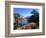 Date Palms in the Draa Valley, Draa Valley, Ouarzazate, Morocco-John Elk III-Framed Photographic Print