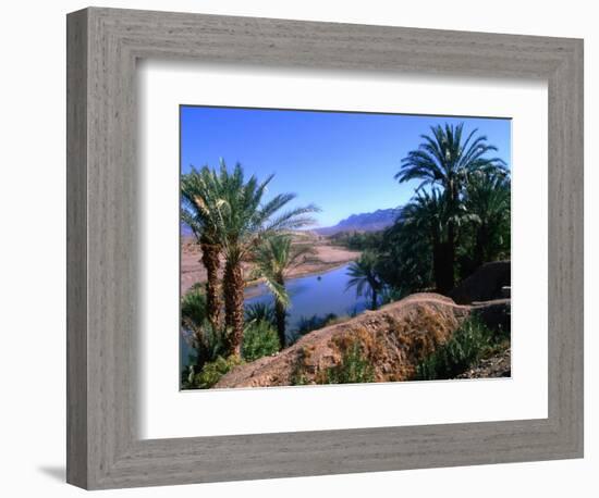 Date Palms in the Draa Valley, Draa Valley, Ouarzazate, Morocco-John Elk III-Framed Photographic Print