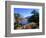 Date Palms in the Draa Valley, Draa Valley, Ouarzazate, Morocco-John Elk III-Framed Photographic Print