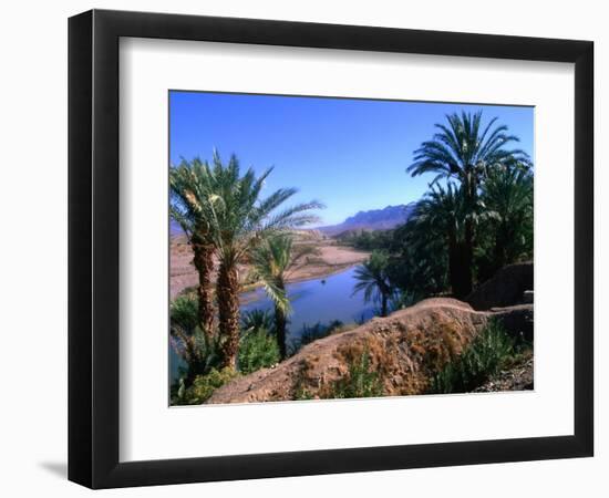 Date Palms in the Draa Valley, Draa Valley, Ouarzazate, Morocco-John Elk III-Framed Photographic Print