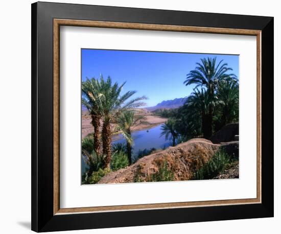 Date Palms in the Draa Valley, Draa Valley, Ouarzazate, Morocco-John Elk III-Framed Photographic Print