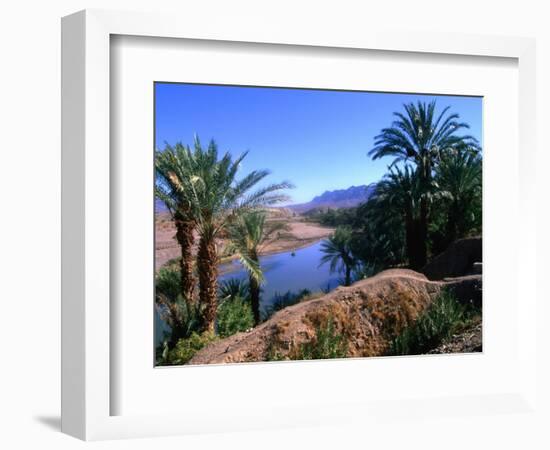 Date Palms in the Draa Valley, Draa Valley, Ouarzazate, Morocco-John Elk III-Framed Photographic Print