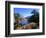 Date Palms in the Draa Valley, Draa Valley, Ouarzazate, Morocco-John Elk III-Framed Photographic Print