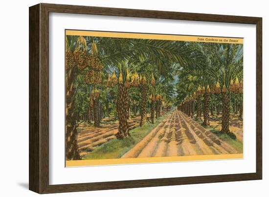 Date Palms, Indio, California-null-Framed Art Print