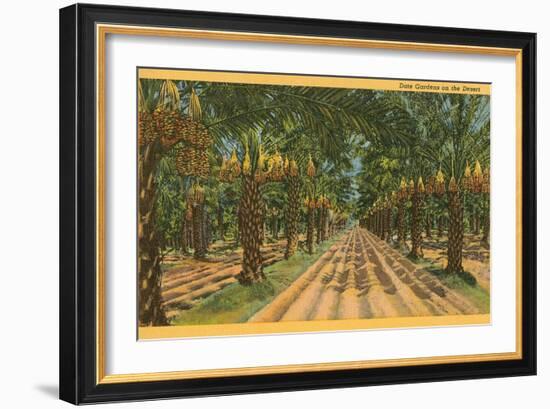 Date Palms, Indio, California-null-Framed Art Print