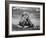 Date Unknownfrazier 19 Year Old Lion at Lion Country Safari South of Los Angeles-Ralph Crane-Framed Photographic Print