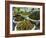 Dates, Walnuts and Figs For Sale in the Souk of the Old Medina of Fez, Morocco, North Africa-Michael Runkel-Framed Photographic Print