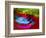 Datsun-NaxArt-Framed Art Print