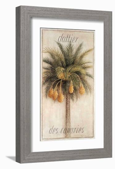 Dattier des Canaries-Vincent Jeannerot-Framed Art Print