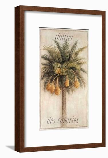 Dattier des Canaries-Vincent Jeannerot-Framed Art Print