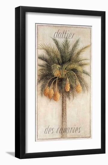 Dattier des Canaries-Vincent Jeannerot-Framed Art Print