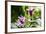 Datura, Flowers, Plant-Sweet Ink-Framed Photographic Print