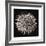 Datura I-Chris Dunker-Framed Collectable Print