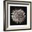 Datura I-Chris Dunker-Framed Collectable Print